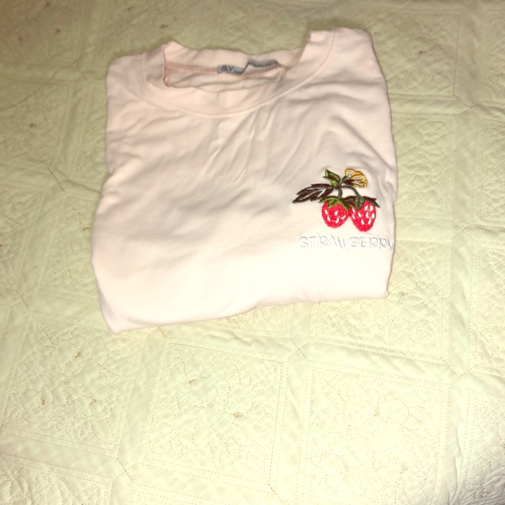 Light pink shirt with embroidery